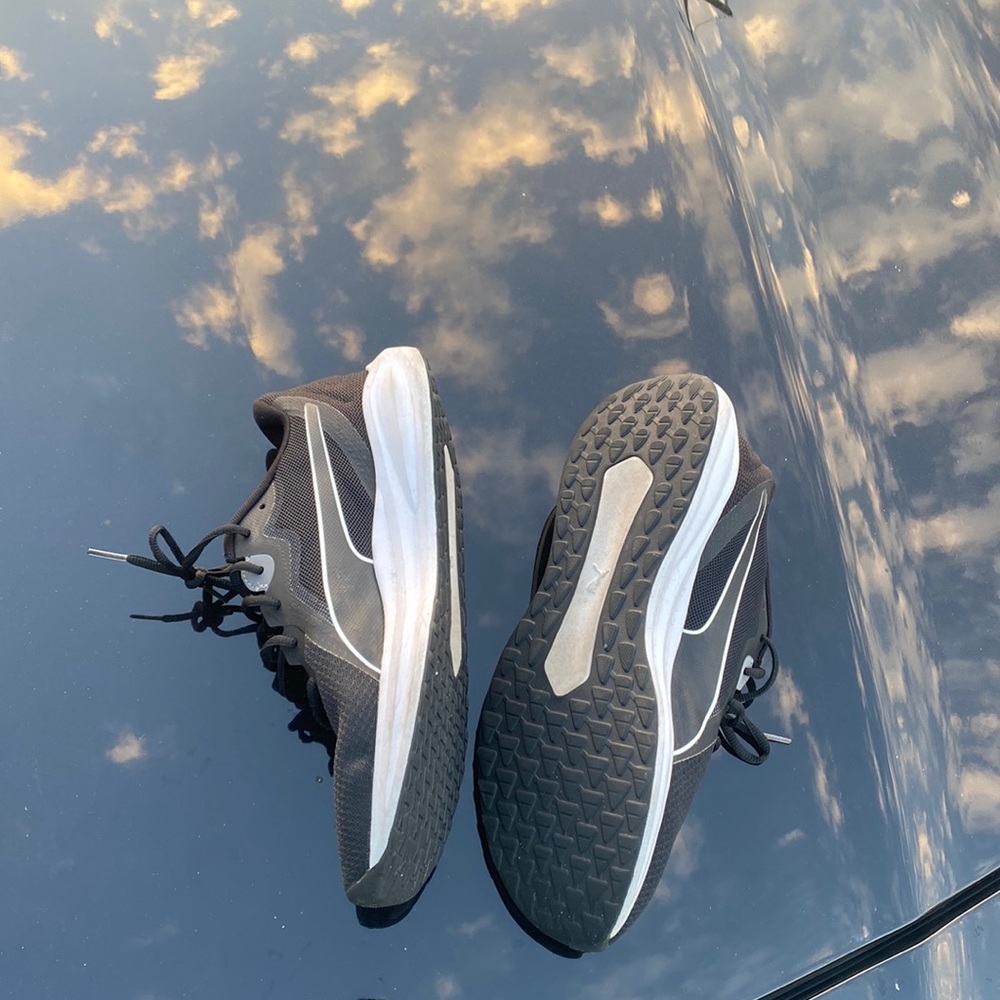 Puma runners